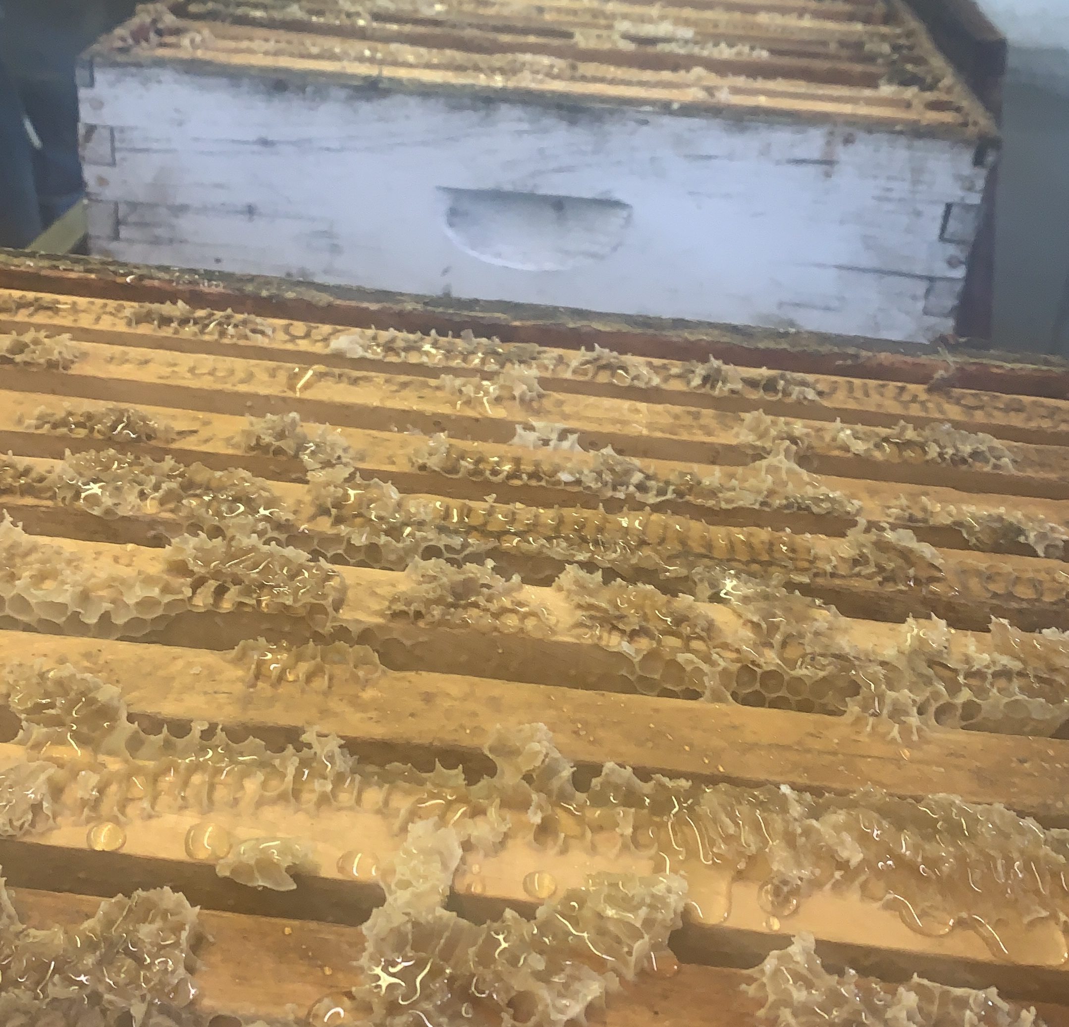 Exploring Grand Forks today